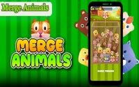 Merge Animals Online: Fun Casual Merge Puzzle Game for All Ages