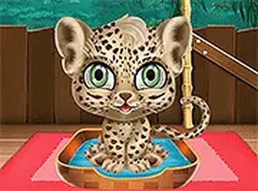 Wildlife Fashion Studio for Kids