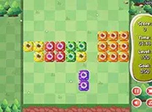 Block Shapes 1010 Puzzle